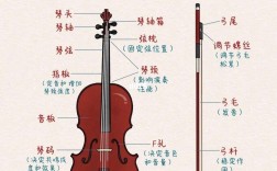 學大提琴的危害