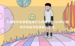 云南專升本錄取結果什么時候公布(2020年云南專升本各學校錄取分數線)