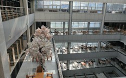 西南財經大學太黑暗了