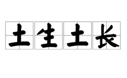 土生土長的意思