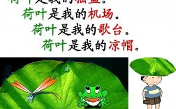 荷葉是我的(荷葉是我的什么仿寫)
