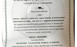 全媒體運營師級別(運營師是干嘛的)