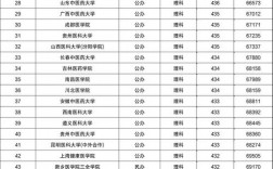 二本藝術類大學排名及分數線是多少？如何選擇？
