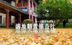 南京師范大學隨園校區地址是什么？如何查詢？
