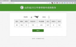 春季高考成績查詢(春季高考官網)