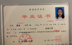 學(xué)歷大專女孩適合考什么證(大專證查詢)