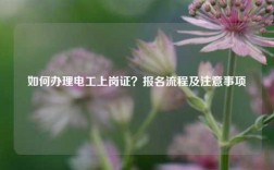 如何辦理電工上崗證？報名流程及注意事項