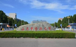 山東中醫(yī)藥大學(xué)怎么樣(中醫(yī)最容易移民的國(guó)家)