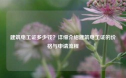 建筑電工證多少錢？詳細介紹建筑電工證的價格與申請流程