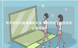 專升本可以報(bào)考哪些大學(xué)(大專畢業(yè)了想升本怎么報(bào)名呢)