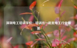 深圳電工培訓(xùn)學(xué)校：培訓(xùn)出一批批電工行業(yè)精英