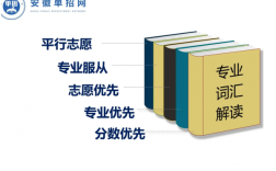 安徽單招網集訓營：專業指導，助力單招