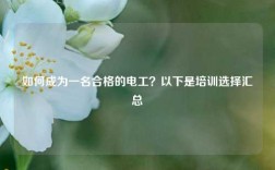 如何成為一名合格的電工？以下是培訓選擇匯總