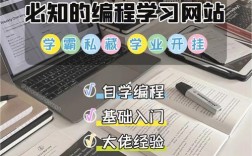 現在學計算機學哪方面的最好