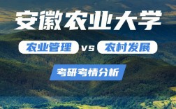 安徽農業大學考研難嗎(南京財經大學考研難嗎)