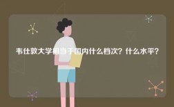 韋仕敦大學相當于國內什么檔次？什么水平？