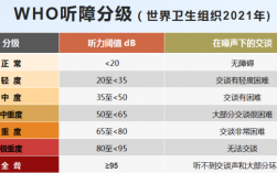 聽力分值四級(一般人拿多少分)