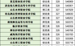 2024年山東省大專院校排名