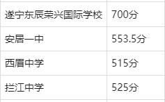 2024年遂寧高中學(xué)校排名前十