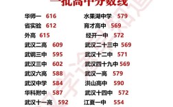 武漢高中錄取分數線