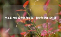 電工證月薪究竟能有多高？看看行業(yè)現(xiàn)狀分析