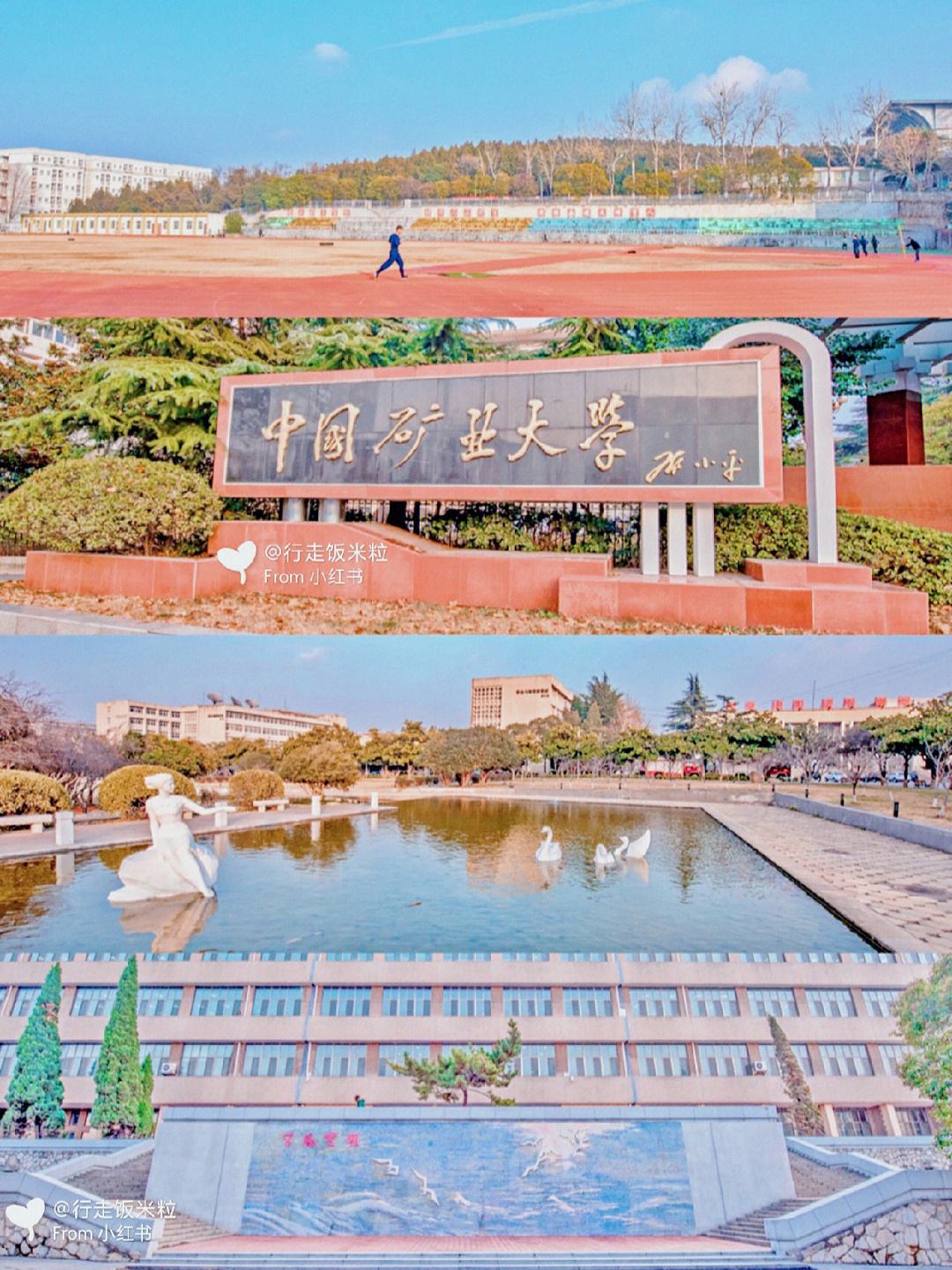 cumt是哪個大學(中國礦業大學有哪些學院)-圖1