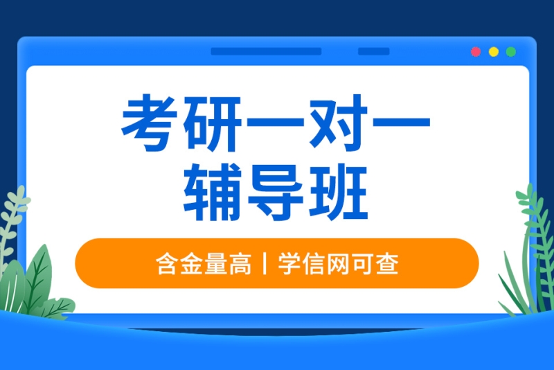考研一輔導班有哪些(考研班機構輔導)-圖1