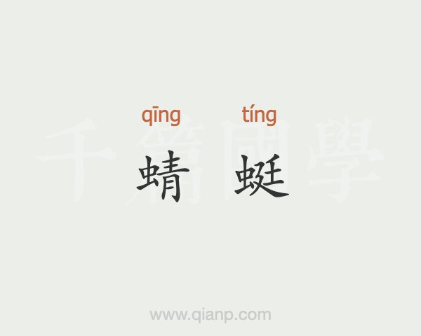 什么樣的蜻蜓填形容詞-圖1