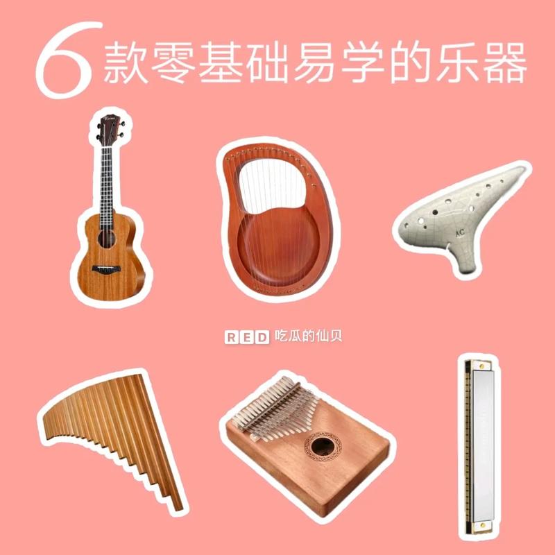 哪個樂器最簡單好學-圖1