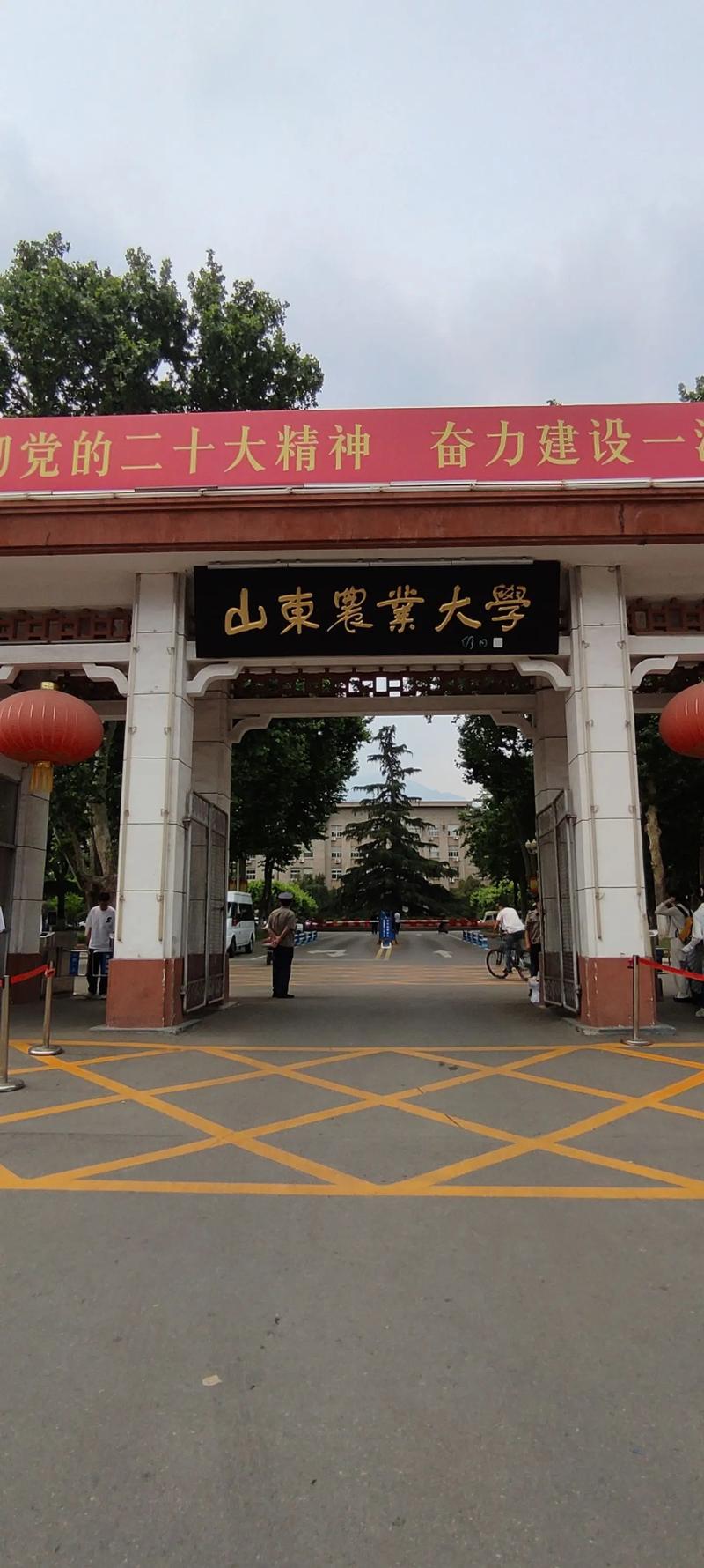 山東最容易考研的大學(一般二本建議考研學校)-圖1