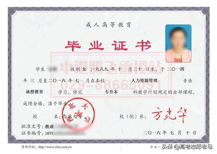 專升本第一學(xué)歷是本科嗎-圖1
