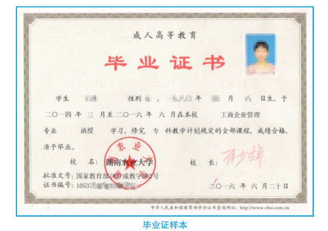專修學(xué)院的文憑有用嗎-圖1