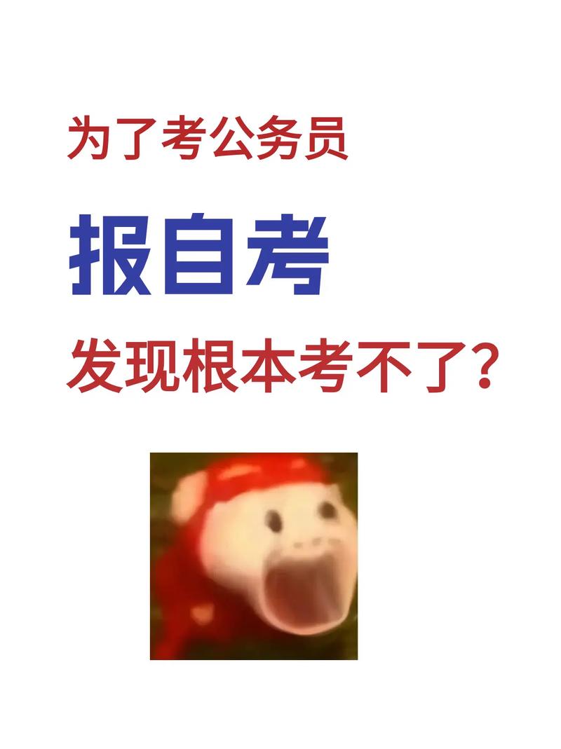 自考根本就考不了公務員是真的嗎-圖1
