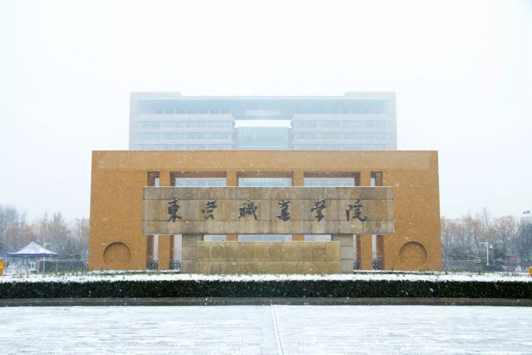 東營職業學院怎么樣(山東十大最好的職業院校)-圖1