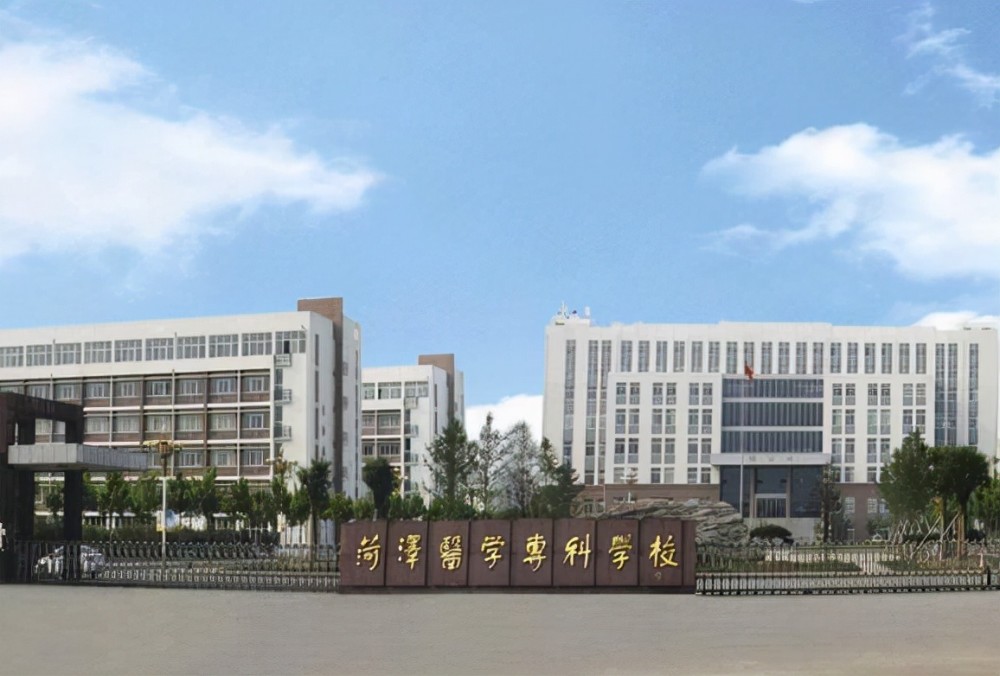 醫(yī)學(xué)專科學(xué)校有哪些(學(xué)中醫(yī)最好的專科學(xué)校)-圖1