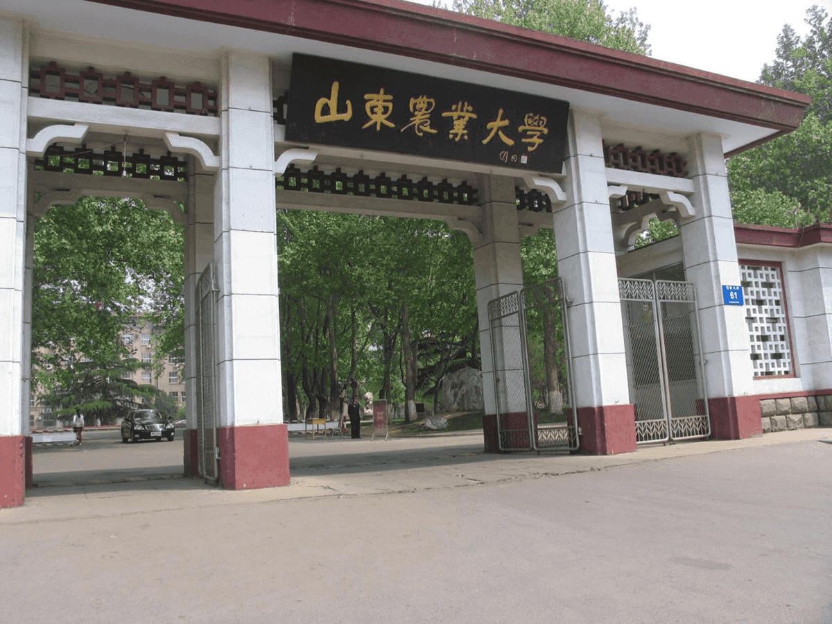 山東農業大學怎么樣(山東農大是一本二本)-圖1