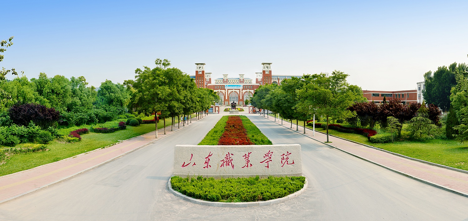 山東最好的職業(yè)學(xué)院(山東技術(shù)學(xué)校排名前十)-圖1