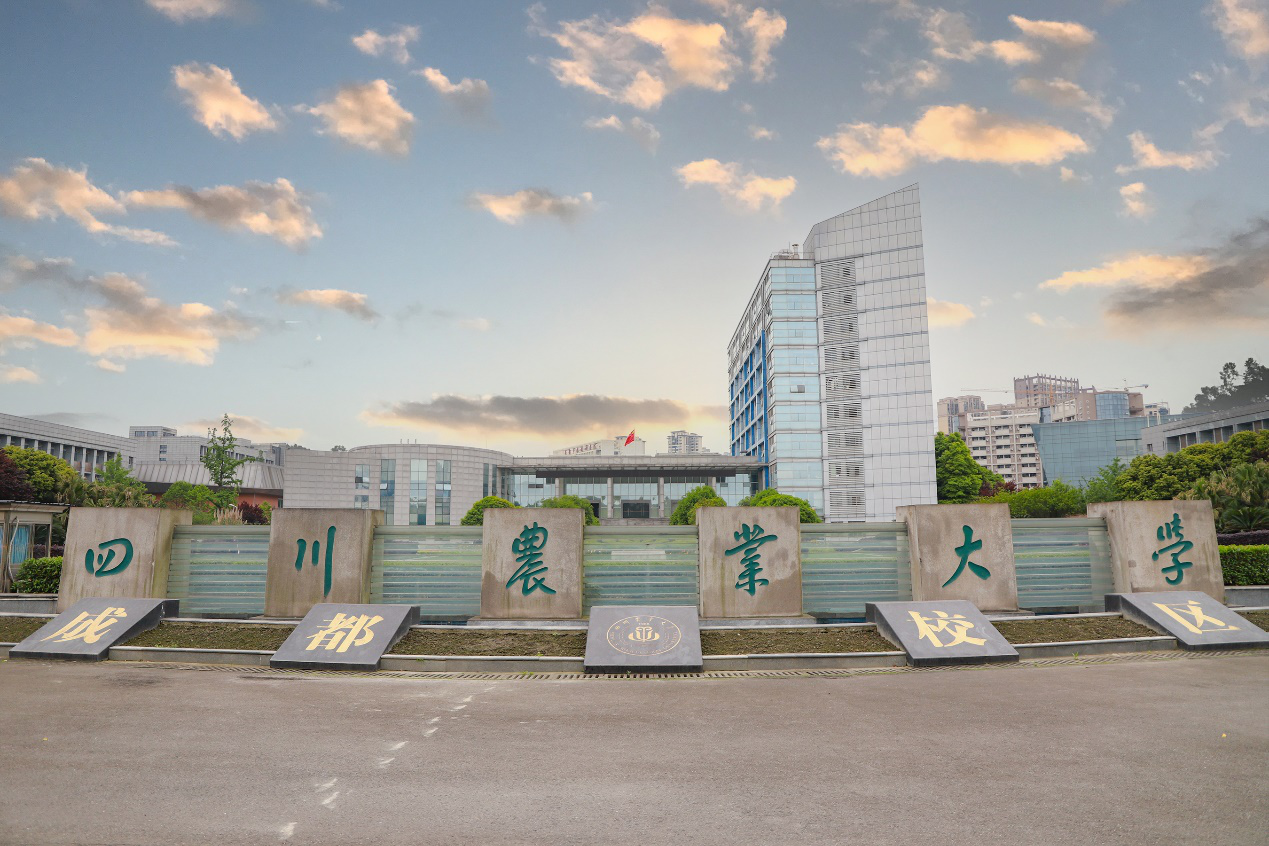 四川農(nóng)業(yè)大學(xué)怎么樣(張雪峰評(píng)價(jià)四川農(nóng)業(yè)大學(xué))-圖1