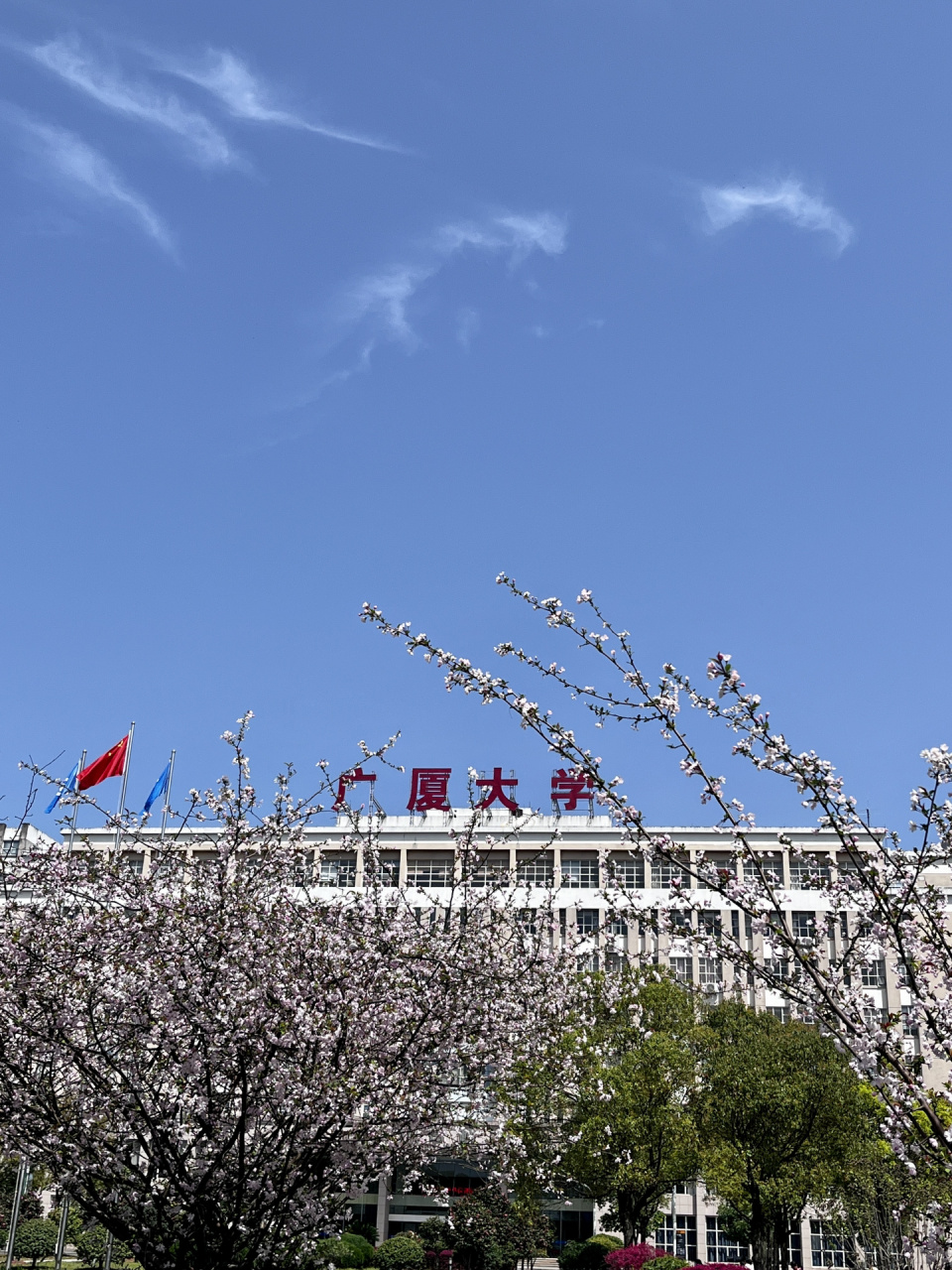 浙江廣廈職業技術學院(浙江最好的十所大專)-圖1
