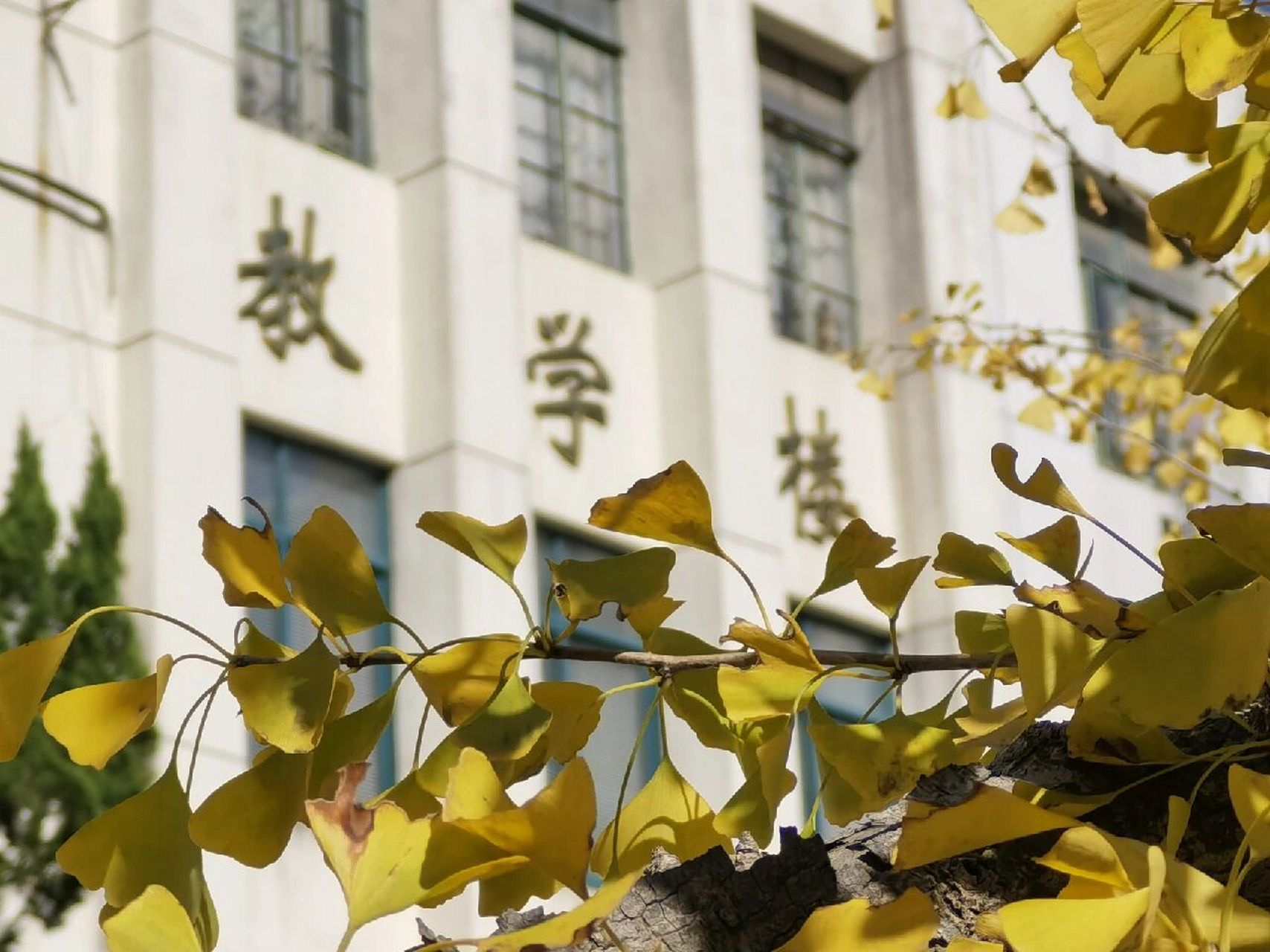 上海專科學校(上海十大最好的職業學校)-圖1