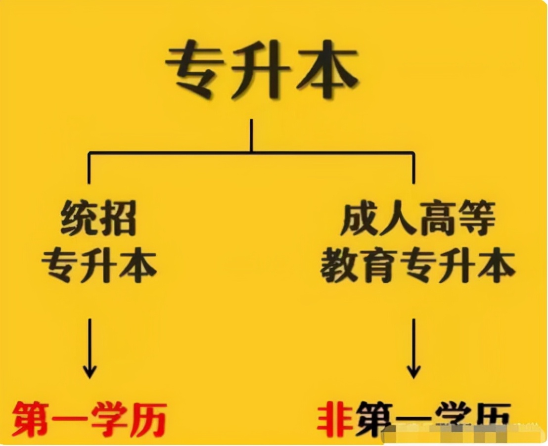 本科是什么意思(自考大專報名官網入口)-圖1