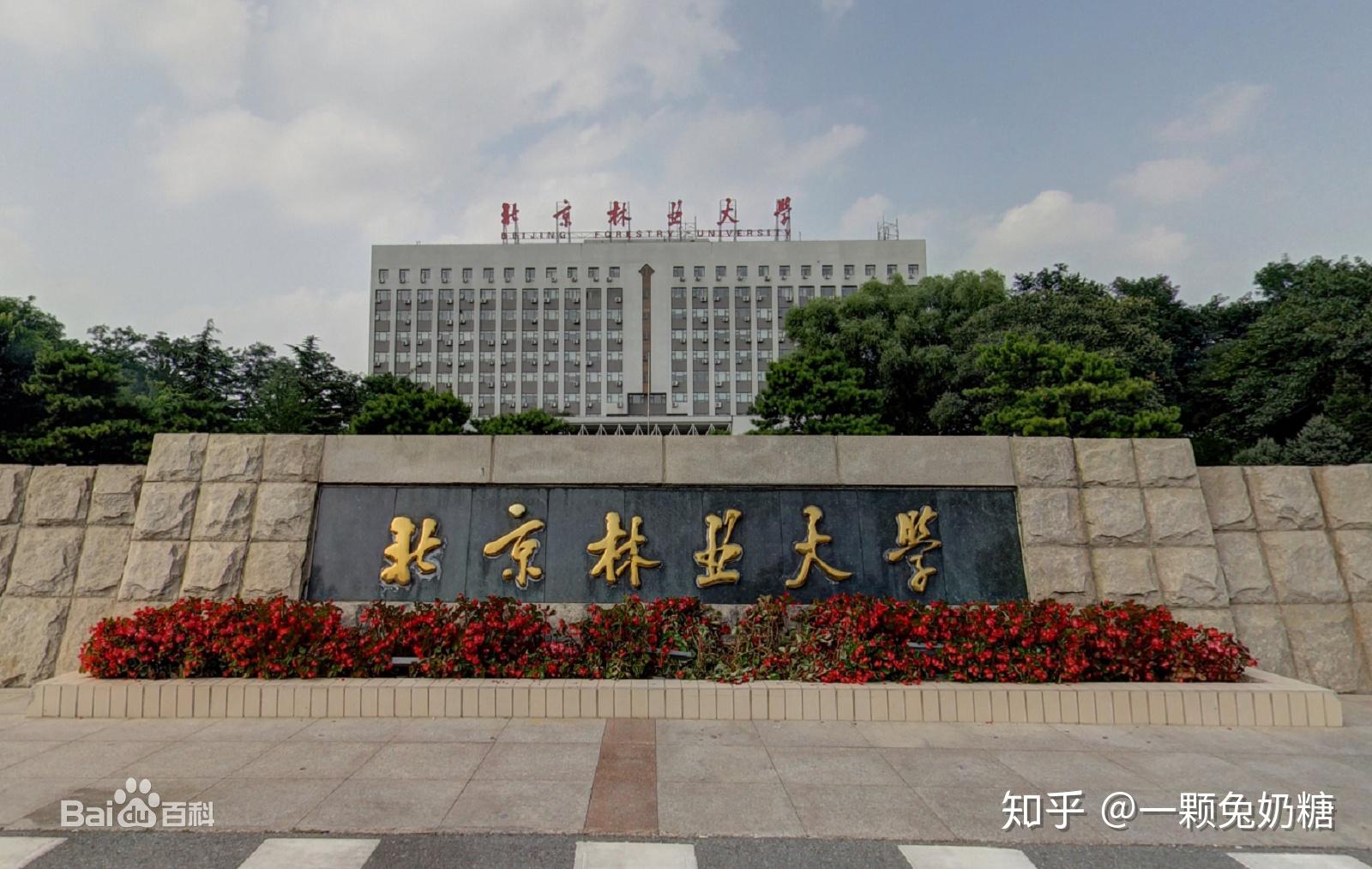 林學(xué)考研最好考的學(xué)校(林學(xué)考研國家線)-圖1