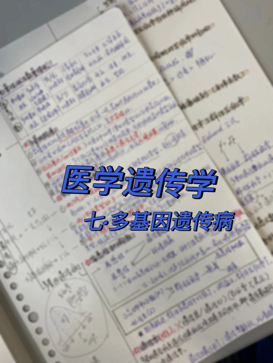 醫學遺傳學專碩(貴州中醫藥大學研究生招生簡章)-圖1