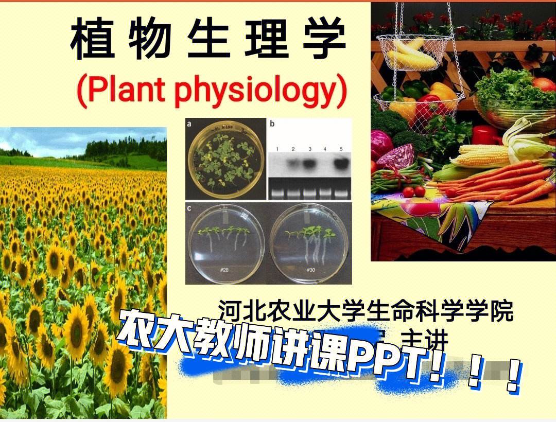 植物學(xué)考研就業(yè)前景(植物學(xué)考研有哪些科目)-圖1
