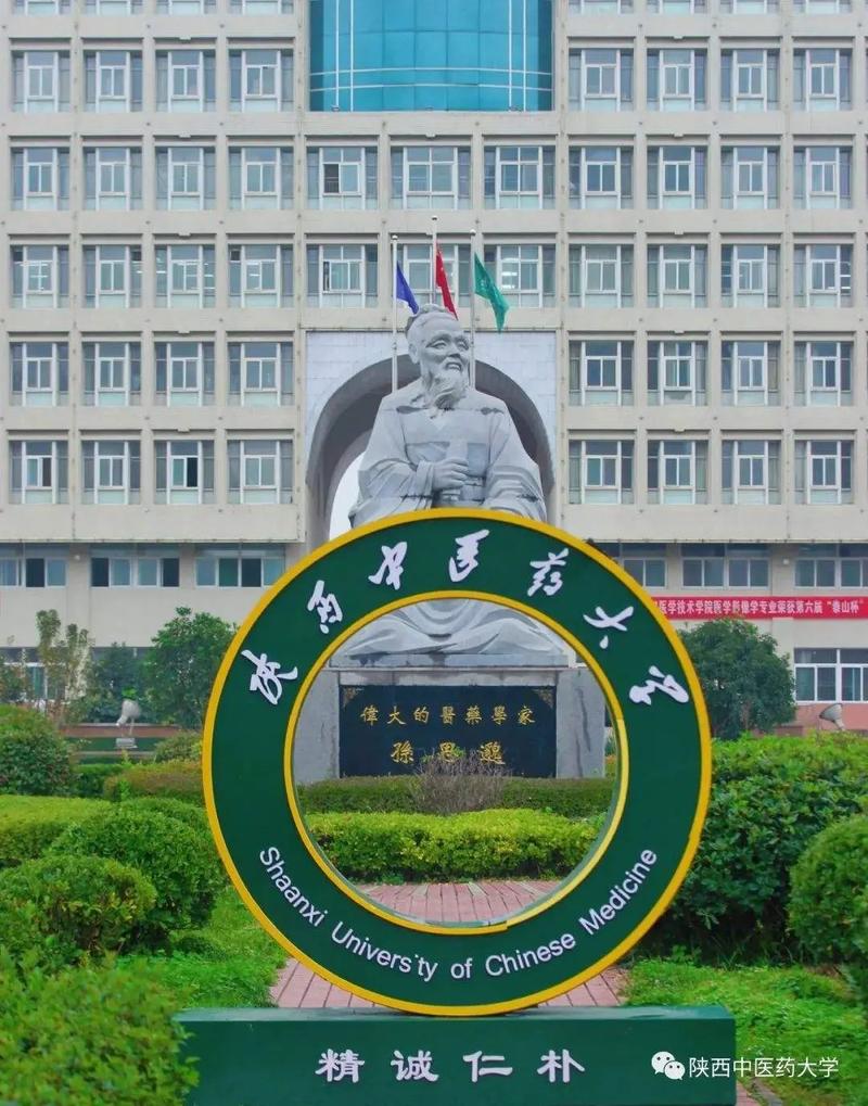 陜西中醫(yī)藥大學(xué)復(fù)試刷人(24年考研錄取比例)-圖1 陜西中醫(yī)藥大學(xué)復(fù)試刷人(24年考研錄取比例)-圖1