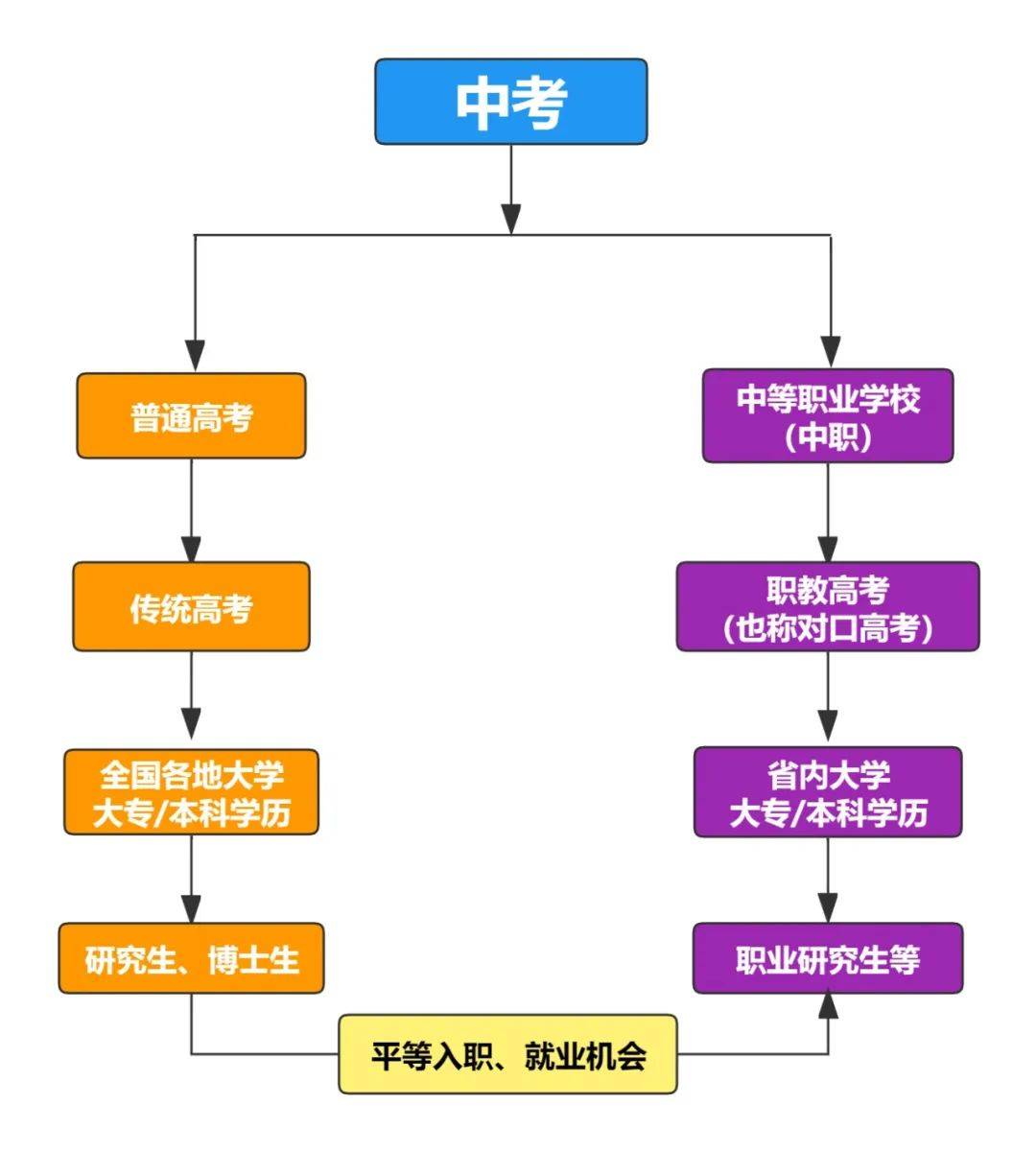 上全日制大專的途徑(怎么報考全日制大專)-圖1