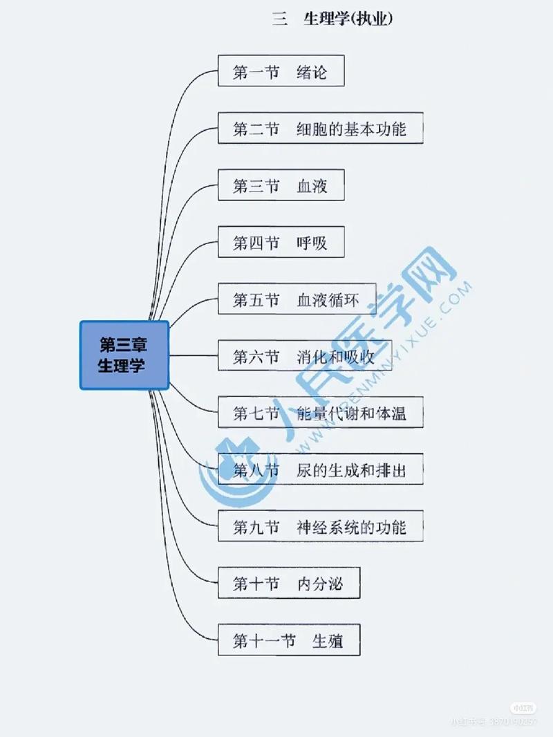 臨床醫學基礎知識(臨床醫學常考知識點總結)-圖1