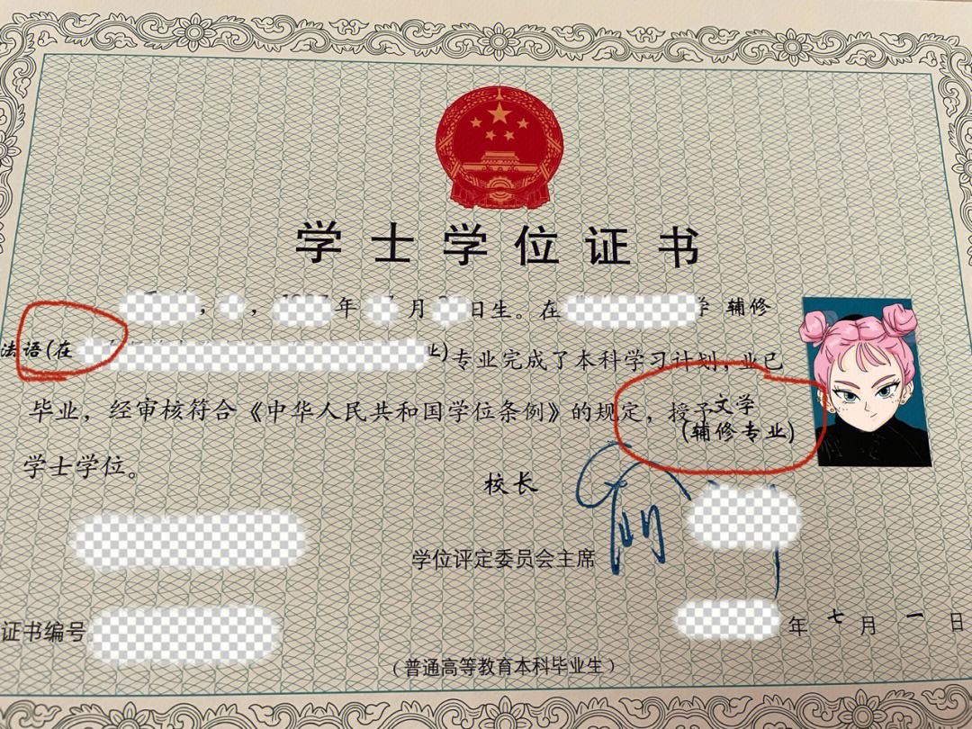 輔修雙學位國家承認嗎(本科輔修法學可以法考嗎)-圖1