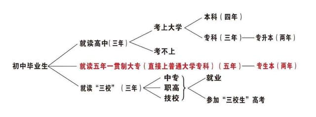 讀五年制大專的利弊(五年制大?？梢陨締?-圖1