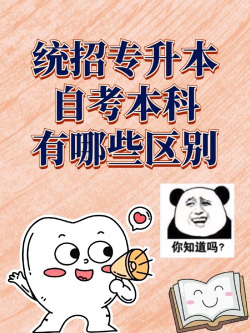 專轉(zhuǎn)本和專升本哪個(gè)含金量高(護(hù)理專升本)-圖1